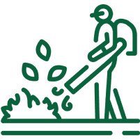 Execution & Quality Assurance