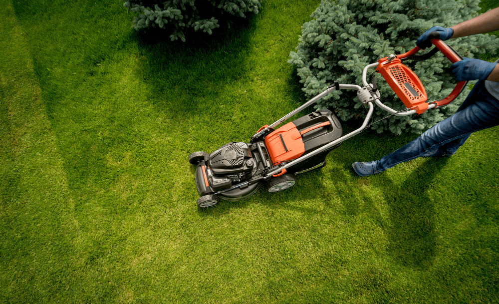 Why Choose Our Irrigation Systems?