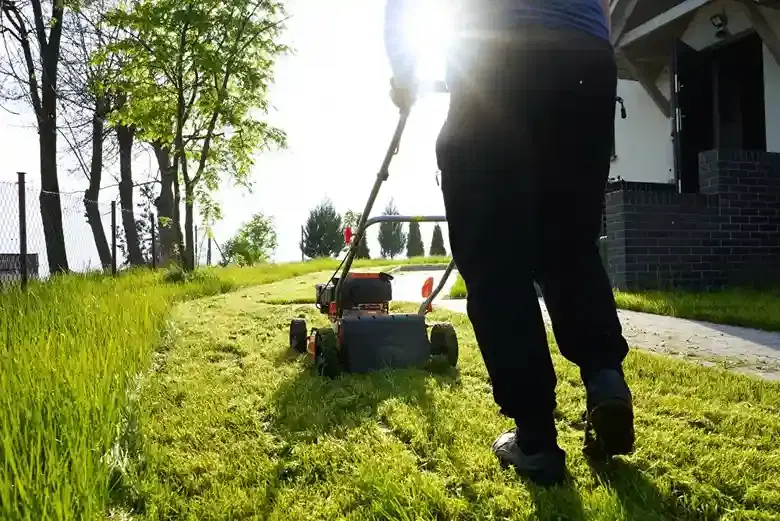 Benefits of Lawn Maintenance & Mowing