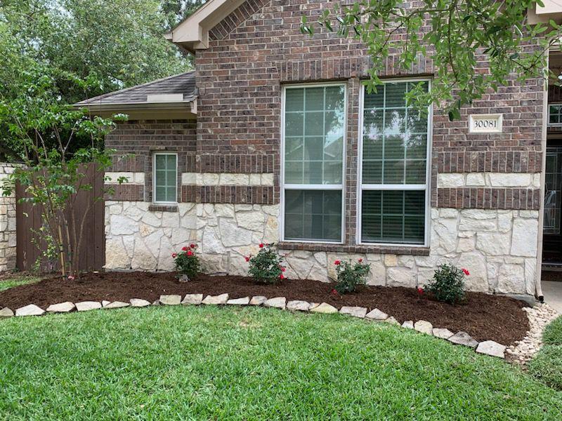 After backyard transformation