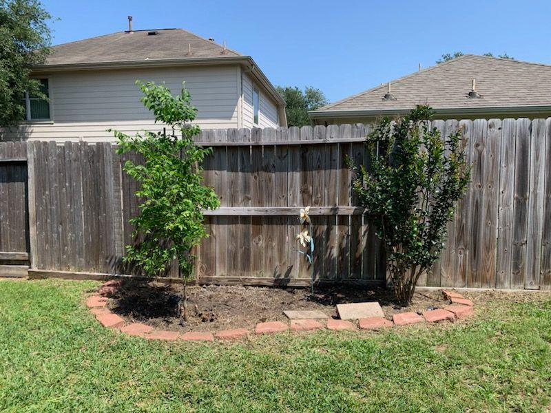 After soil mulching