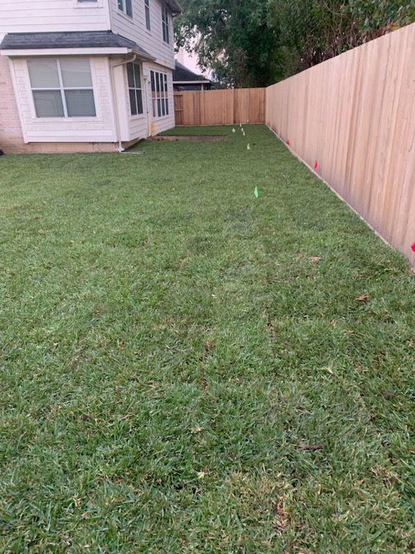 Before soil mulching
