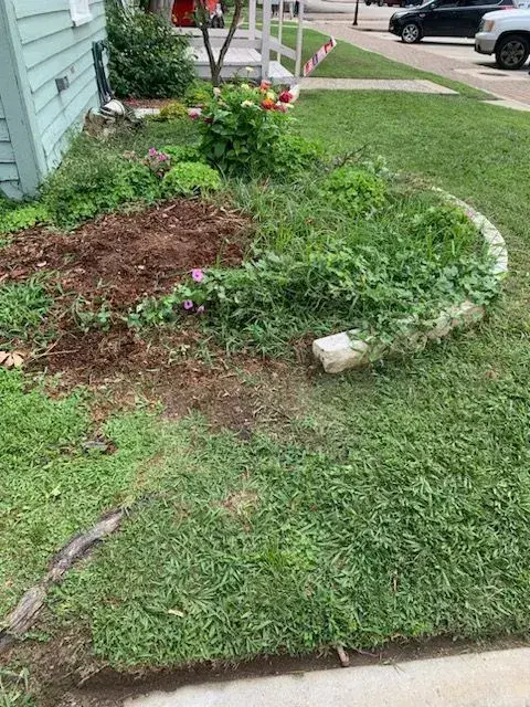 Before soil mulching