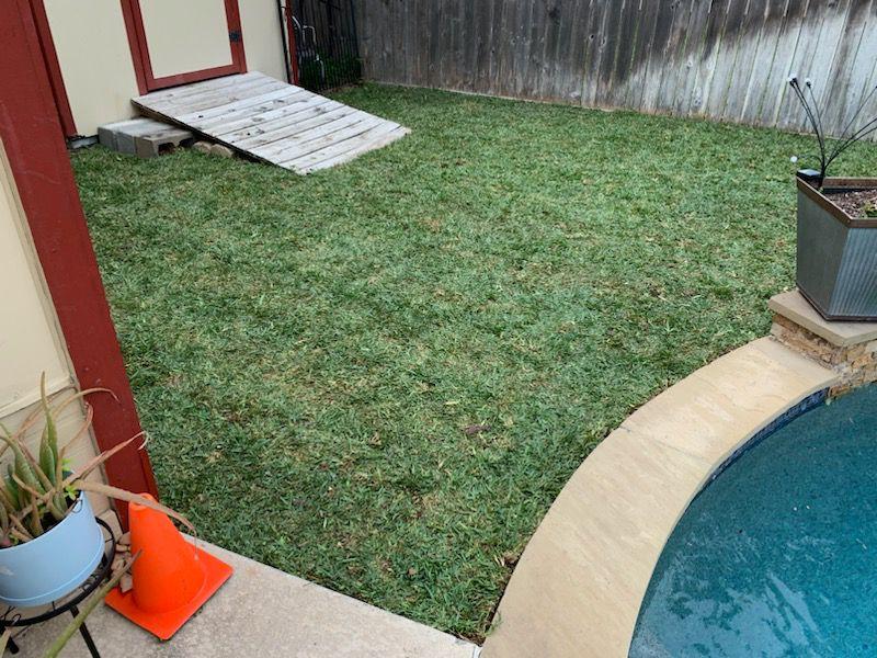 After soil mulching