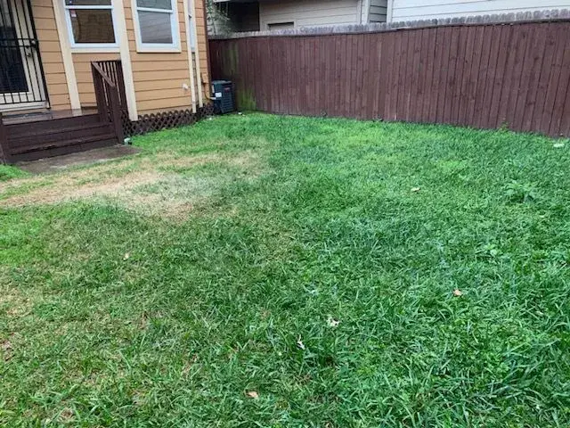 Before soil mulching