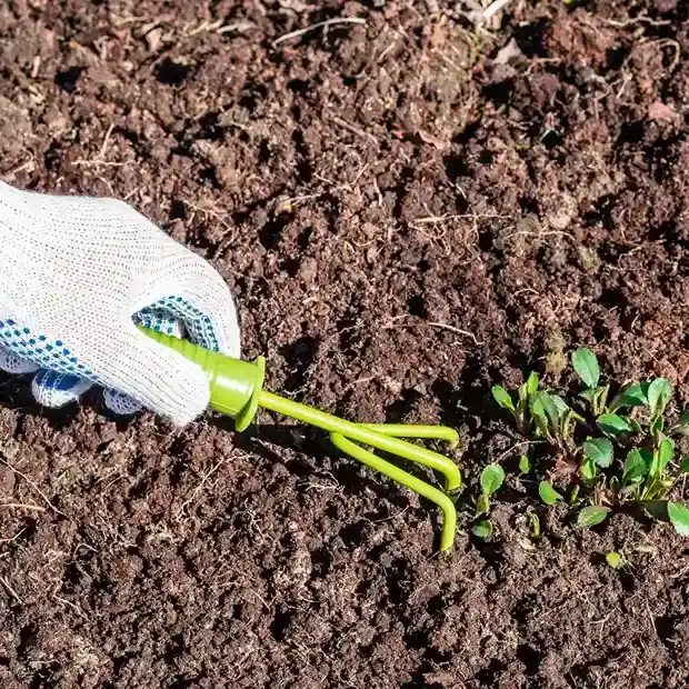 Professional Mulching & Soil Installation