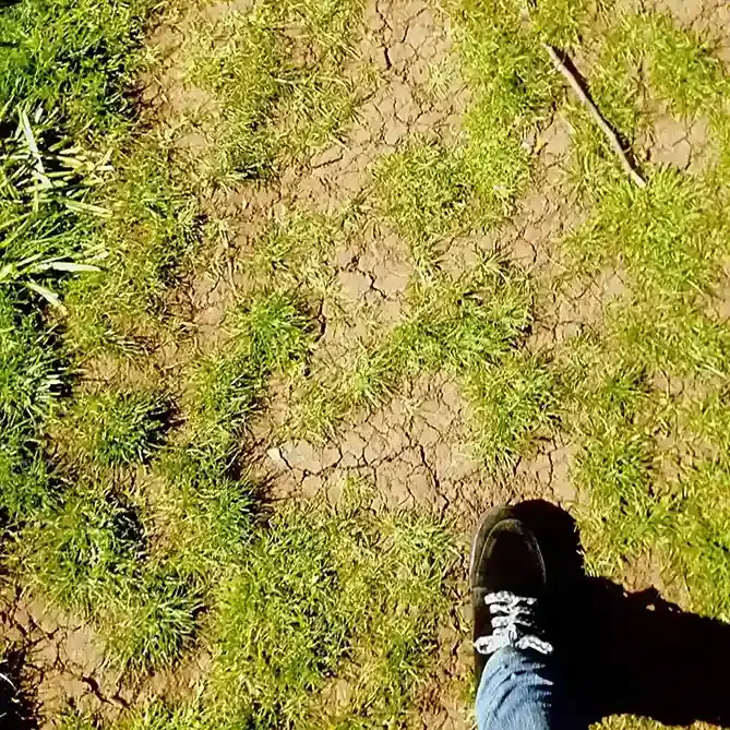 Benefits of Yard Leveling & Grading