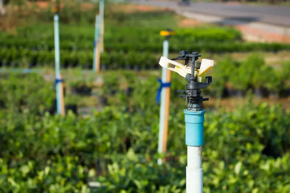 Professional Irrigation Systems
