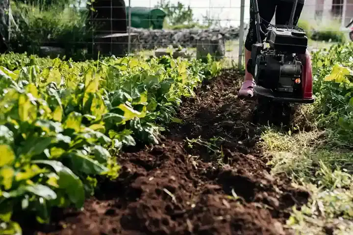 Benefits of Mulching & Soil Installation