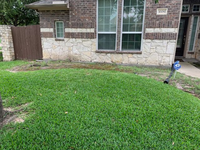 Before backyard transformation