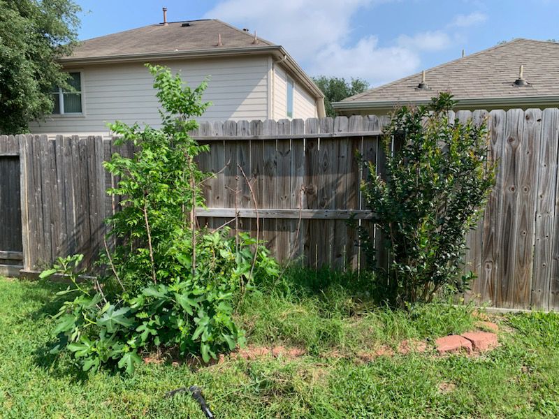 Before soil mulching