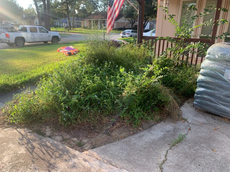 Before soil mulching