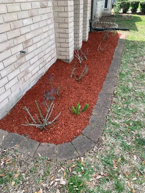 After soil mulching