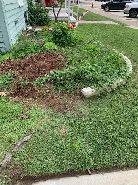 Before soil mulching