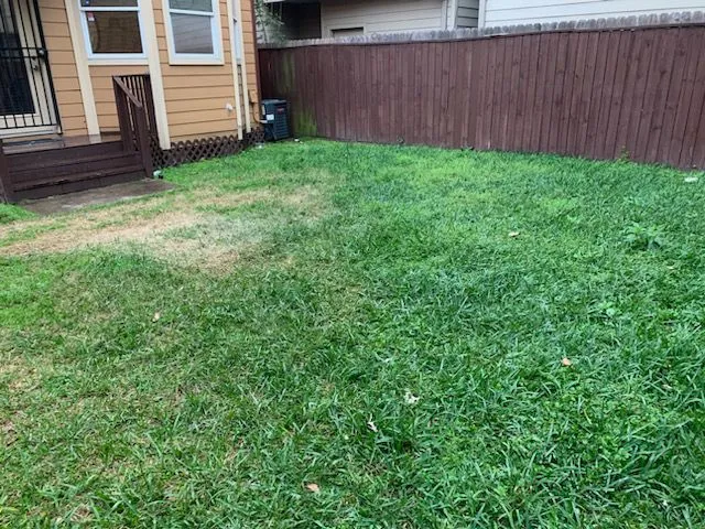 Before soil mulching