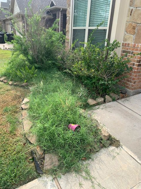 Before soil mulching